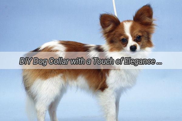 DIY Dog Collar with a Touch of Elegance Craft Your Pets Perfect Accessory with a Simple Thread